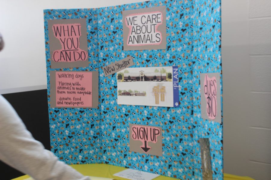 We Care About Animals Club