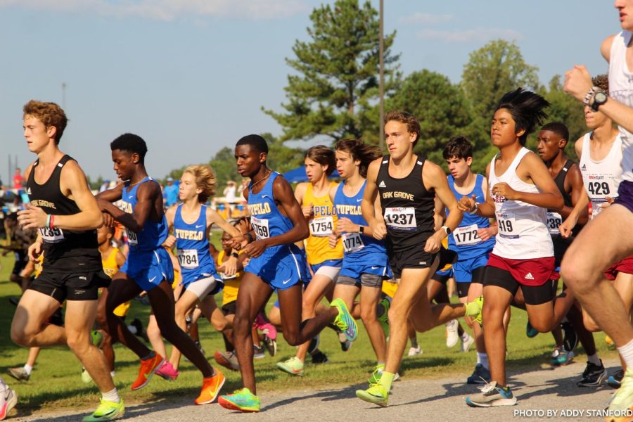 Tupelo High School boys cross-country team leaves starting line in the Saltillo Cross Country Invitational to begin the race.