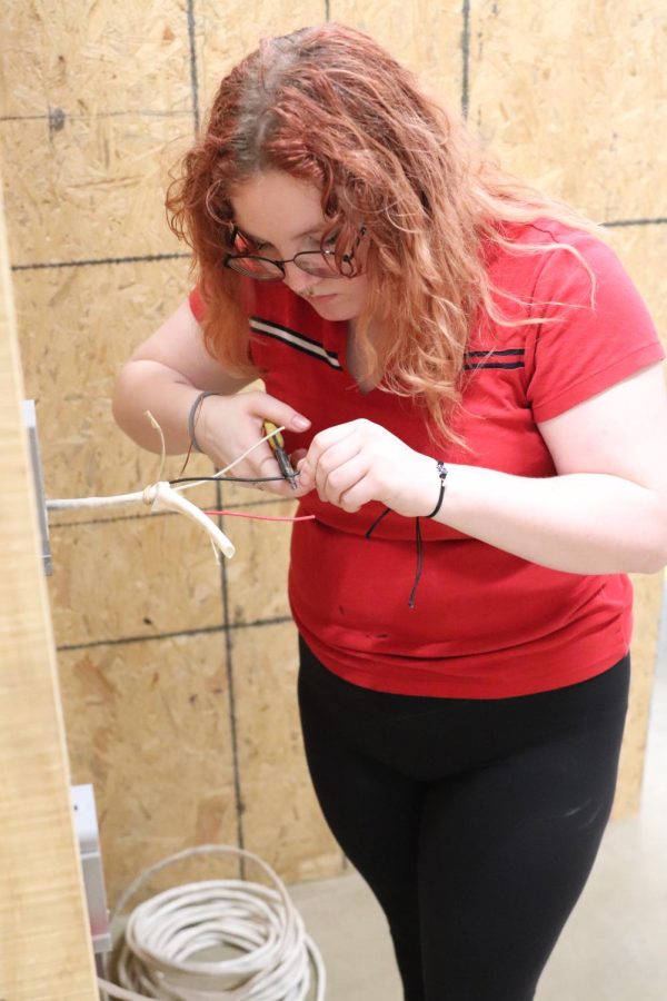 Miya Sandlin prepares wires for her project for her state competition.  