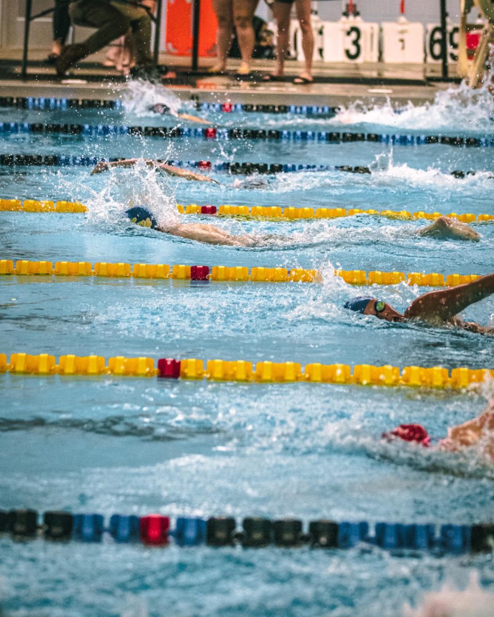 Swimming team makes a splash this season