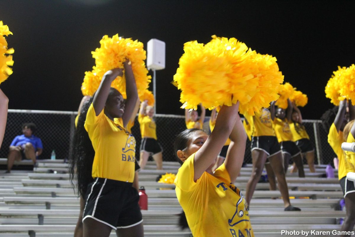 Co-Captain Daniella Estoque dancing in the stands of a football game. 