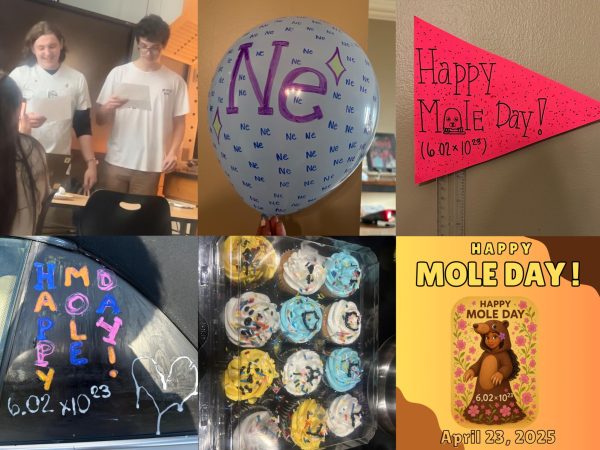 Different Activities Done In Celebration of Mole Day