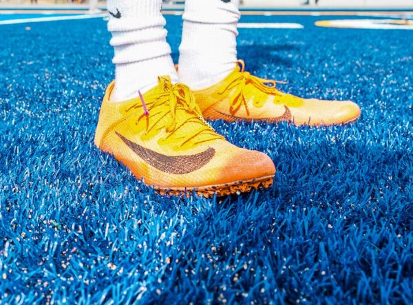 Track Shoes